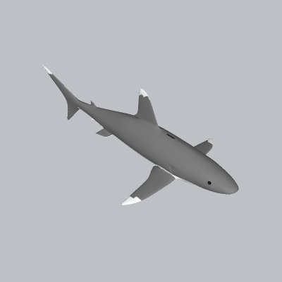 鲨鱼 (2)