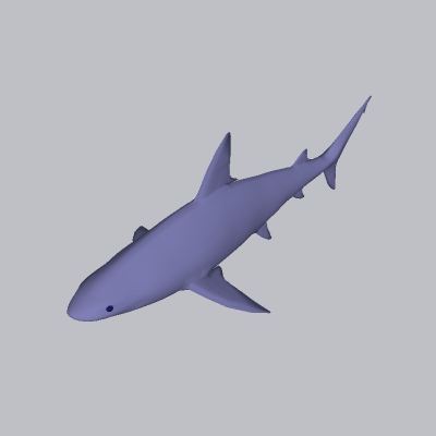 鲨鱼（4）