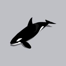 鲸鱼 (3)