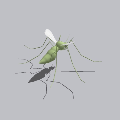 蚊子 (2)