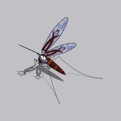 蚊子 (3)