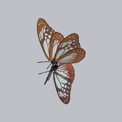 蝴蝶（10）