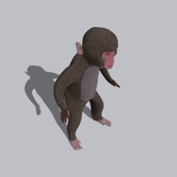 猴子 (2)