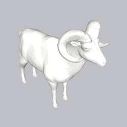 羊 (2)