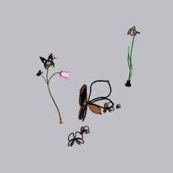 cc-花灯