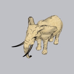 动物  大象 (1)