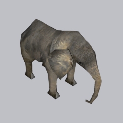 动物  大象 (3)