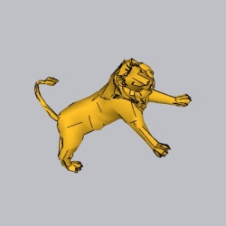 动物  狮子 (13)