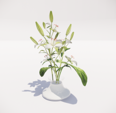 植物摆设2_Sketchup模型