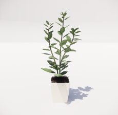 植物摆设7_Sketchup模型