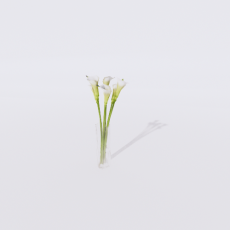 花_花71_Sketchup模型